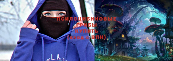 тгк Армянск