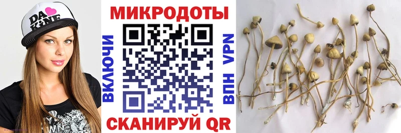 Псилоцибиновые грибы прущие грибы  Купить где  Вичуга 